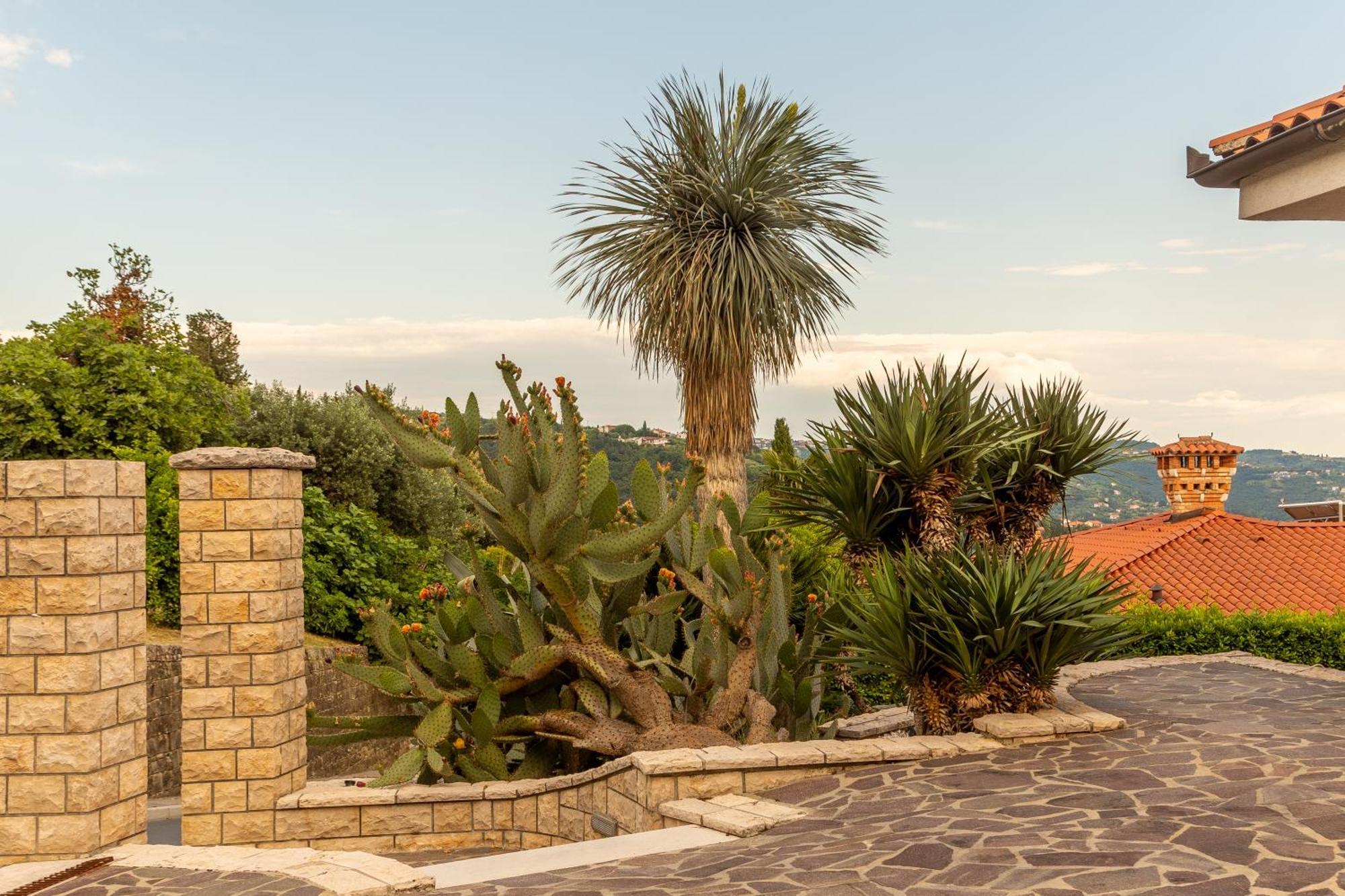 Villa Bellavista I Порторож Екстер'єр фото